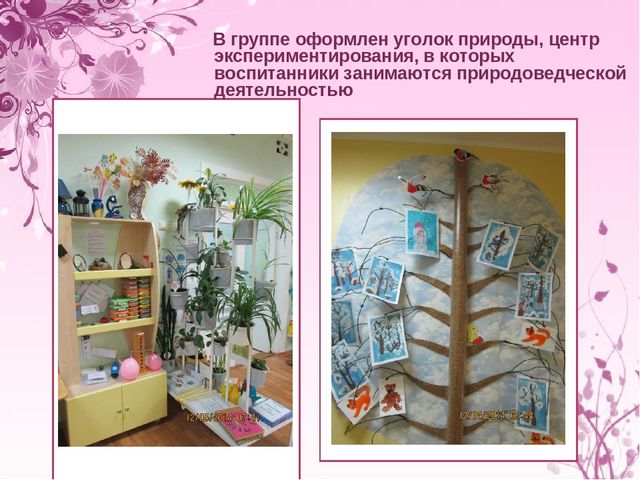 Презентация "Экологическое воспитание дошкольников"