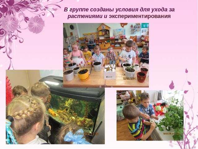 Презентация "Экологическое воспитание дошкольников"