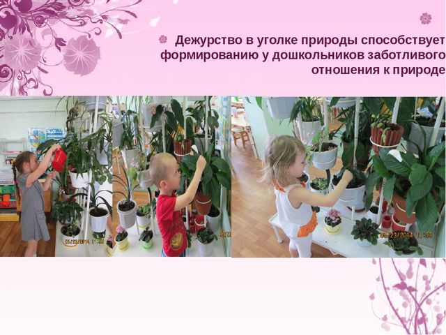 Презентация "Экологическое воспитание дошкольников"