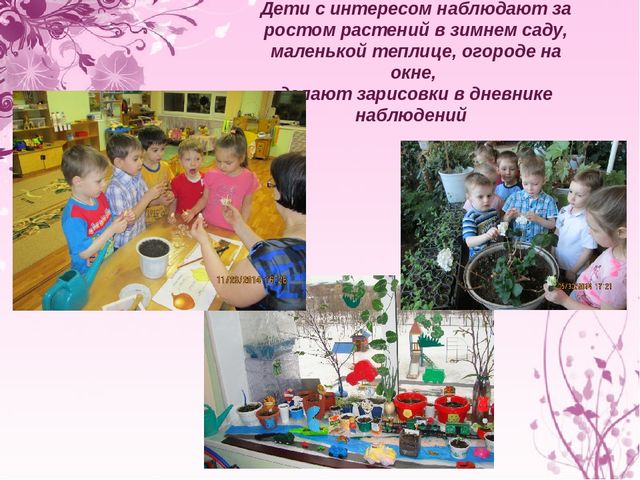 Презентация "Экологическое воспитание дошкольников"
