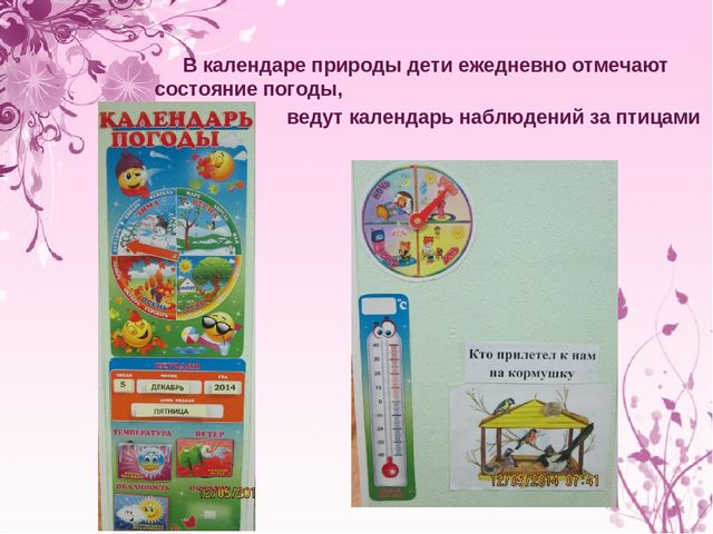 Презентация "Экологическое воспитание дошкольников"