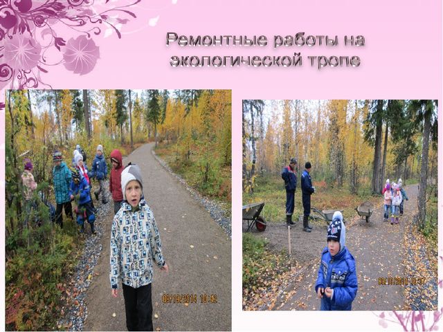 Презентация "Экологическое воспитание дошкольников"