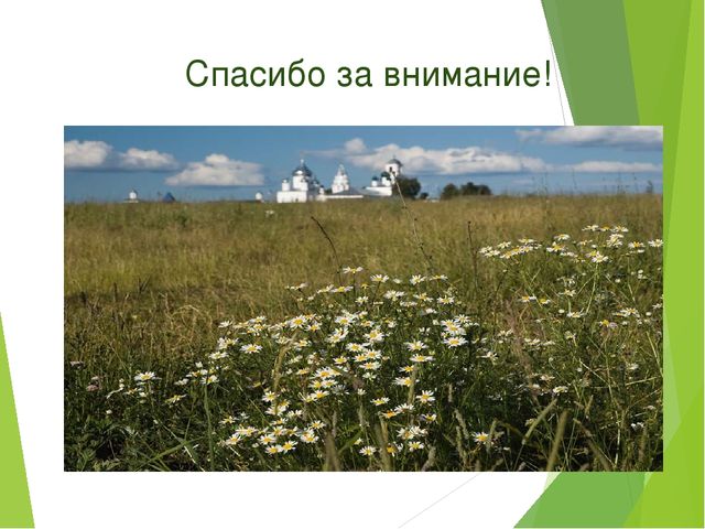 Презентация "С чего начинается Родина"
