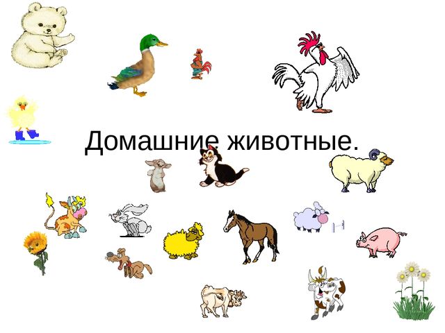 Презентация с анимациями в помощь педагогам.