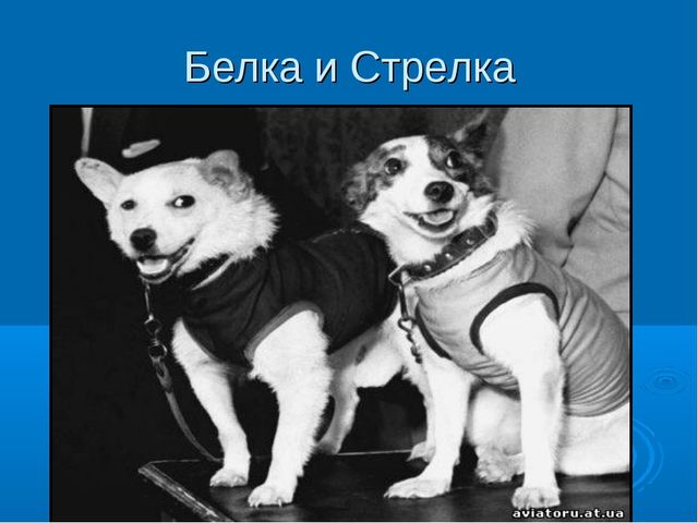 Презентация "12 апреля - День космонавтики"