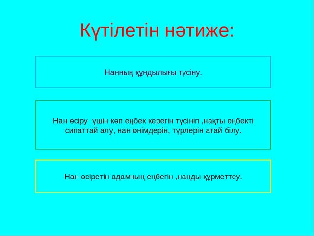 Жоба Ас атасы нан