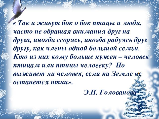 Презентация ,, как помочь птицам зимой ,,