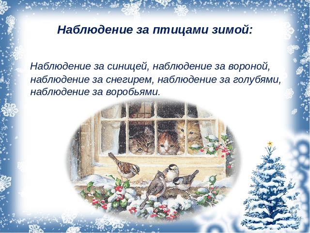 Презентация ,, как помочь птицам зимой ,,