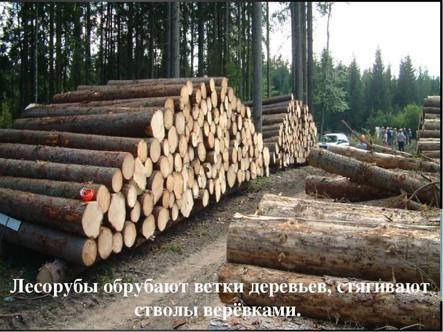 Презентация "Откуда книга к нам пришла"