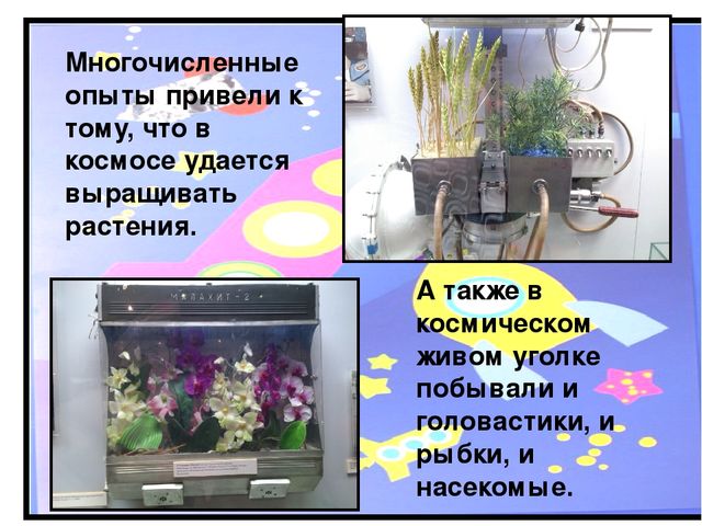 Исследовательский проект "Космос. Это интересно" (подготовительная группа)
