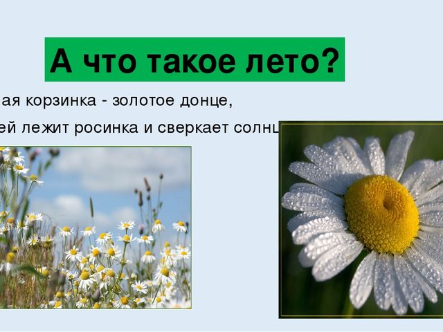 Рисование презентация к нод "Что такое лето?"