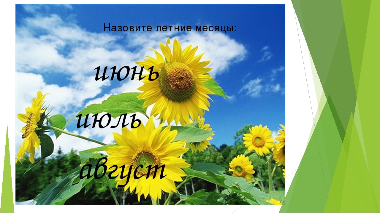 Презентация к НОД "Что такое лето?"