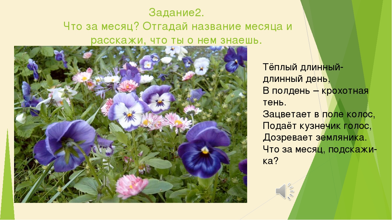 Презентация к НОД "Что такое лето?"
