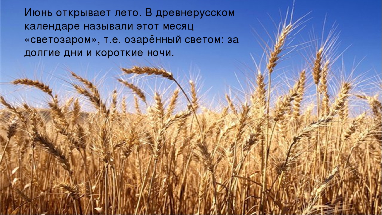 Презентация к НОД "Что такое лето?"