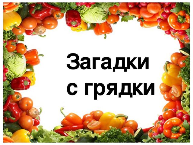 Презентация к занятию по рисованию в старшей группе