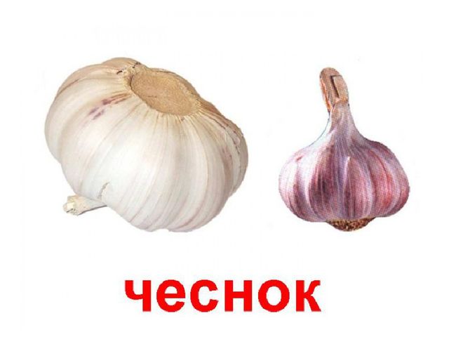 Презентация к занятию по рисованию в старшей группе