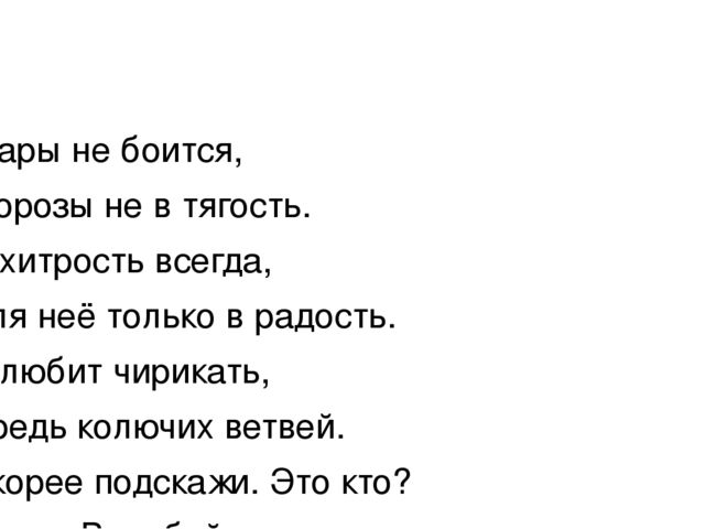 Презентация к занятию по рисованию в старшей группе