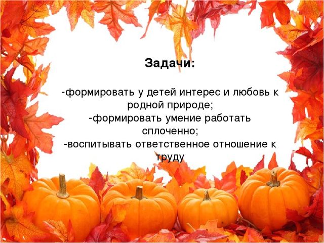 Практическое занятие по окружающему миру в средней группе "Ой, да, не зевай, урожай собирай"