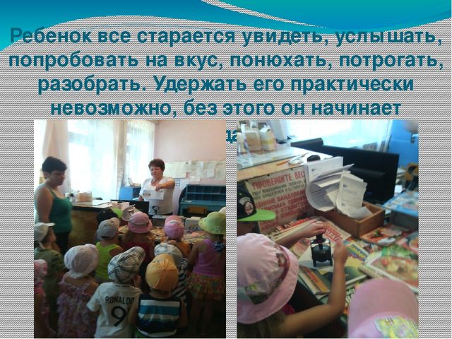 Презентация по исследовательской деятельности "Экспериментально -исследовательская деятельность детей старшего дошкольного возраста"