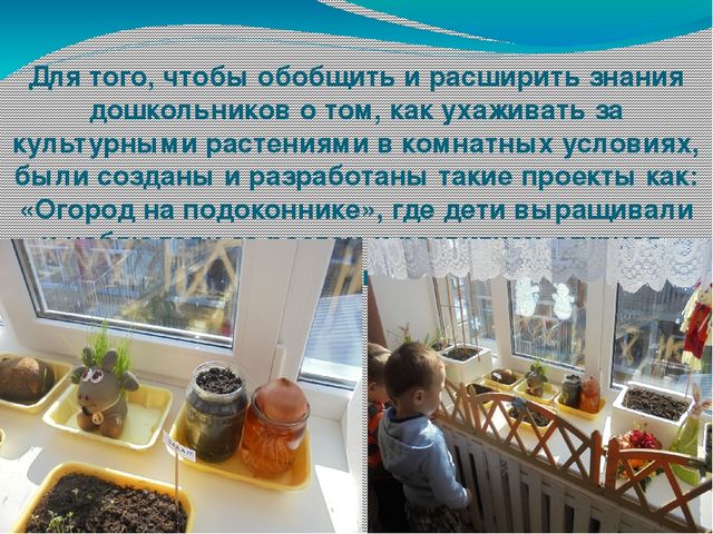 Презентация по исследовательской деятельности "Экспериментально -исследовательская деятельность детей старшего дошкольного возраста"