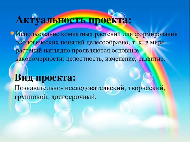 Презентация педагогического проекта «Комнатные растения» (разновозрастная группа раннего возраста от 1,5 до 3 лет)