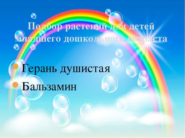 Презентация педагогического проекта «Комнатные растения» (разновозрастная группа раннего возраста от 1,5 до 3 лет)