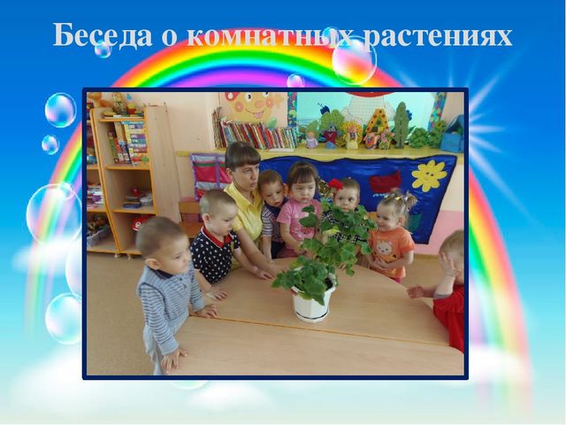 Презентация педагогического проекта «Комнатные растения» (разновозрастная группа раннего возраста от 1,5 до 3 лет)