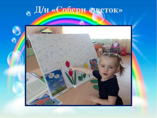 Презентация педагогического проекта «Комнатные растения» (разновозрастная группа раннего возраста от 1,5 до 3 лет)