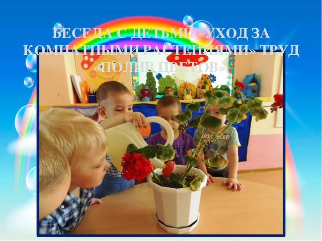 Презентация педагогического проекта «Комнатные растения» (разновозрастная группа раннего возраста от 1,5 до 3 лет)