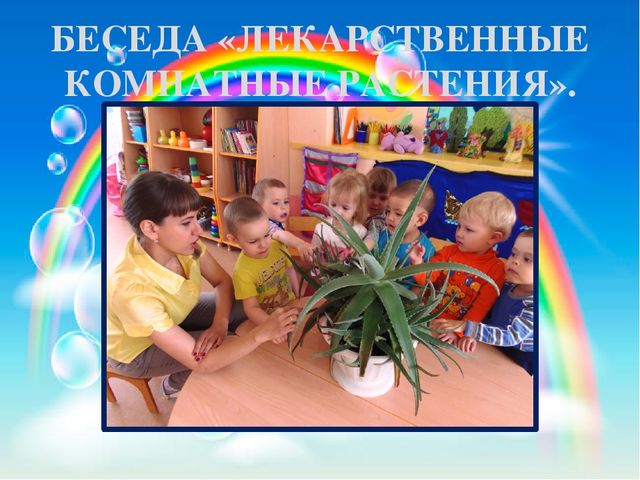 Презентация педагогического проекта «Комнатные растения» (разновозрастная группа раннего возраста от 1,5 до 3 лет)