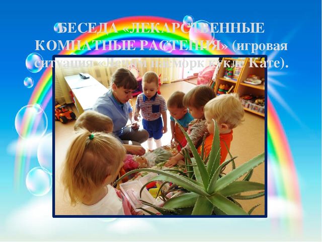 Презентация педагогического проекта «Комнатные растения» (разновозрастная группа раннего возраста от 1,5 до 3 лет)