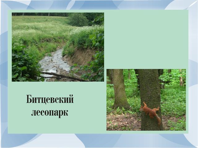 Презинтация по развитию речи на тему:"Моя малая Родина-город Москва".