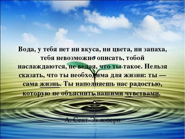 Экологическая презентация "Чистый родник"