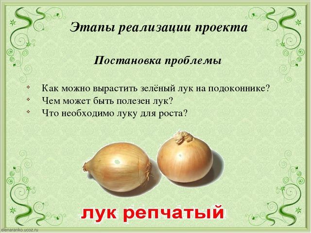 Презентация огород на подоконники