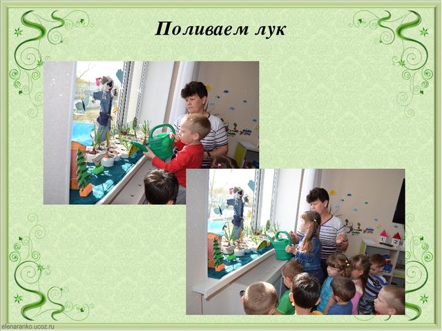 Презентация огород на подоконники