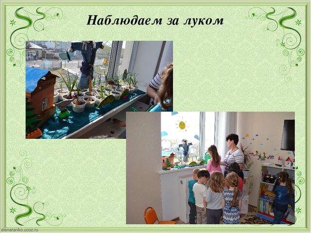 Презентация огород на подоконники