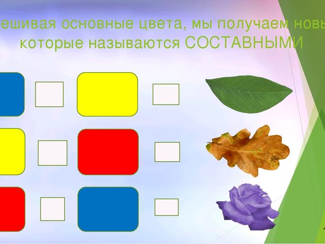 Презентация для детей 4-6лет "Птицы"