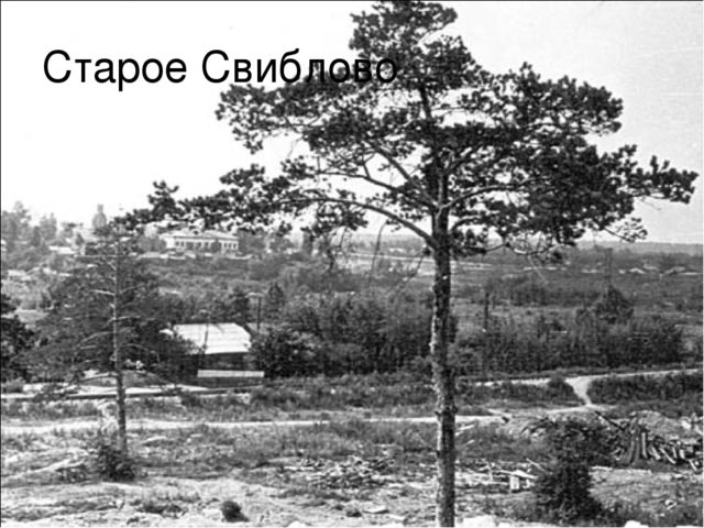 Знакомство с историей района Свиблово.