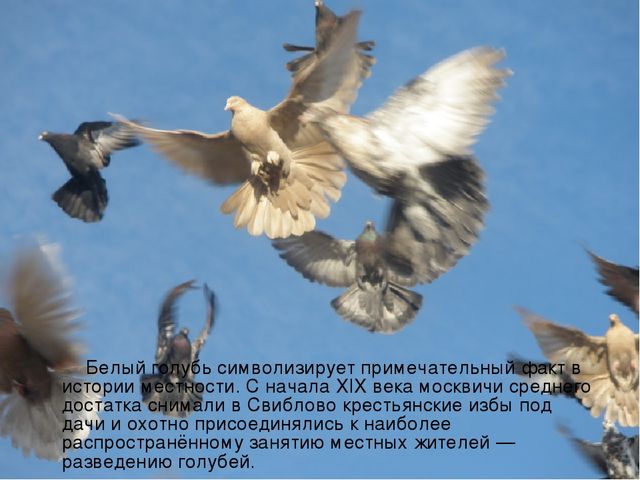 Знакомство с историей района Свиблово.