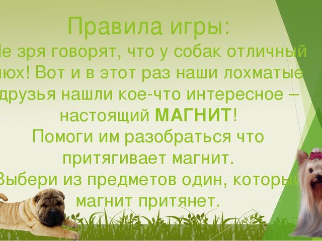 Презентация для детей 4-6лет "Осьминожки на дорожках"