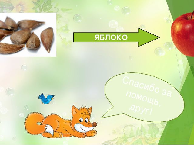 Презентация для детей 4-6лет "Чья семечка"