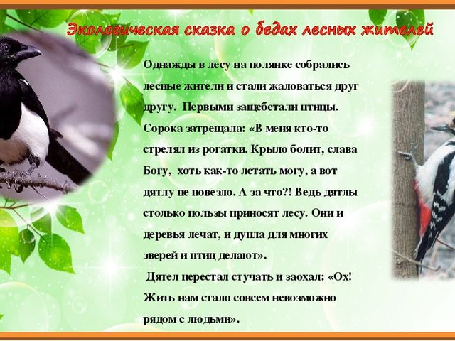 Презентация для ОД с дошкольниками "Экологическая сказка"