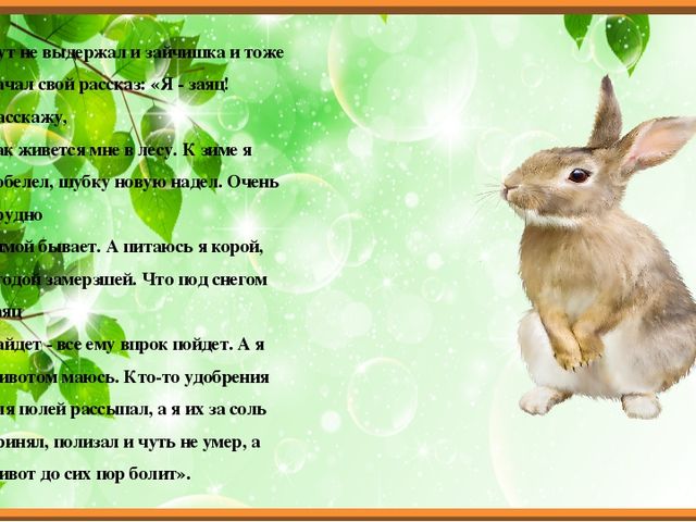 Презентация для ОД с дошкольниками "Экологическая сказка"