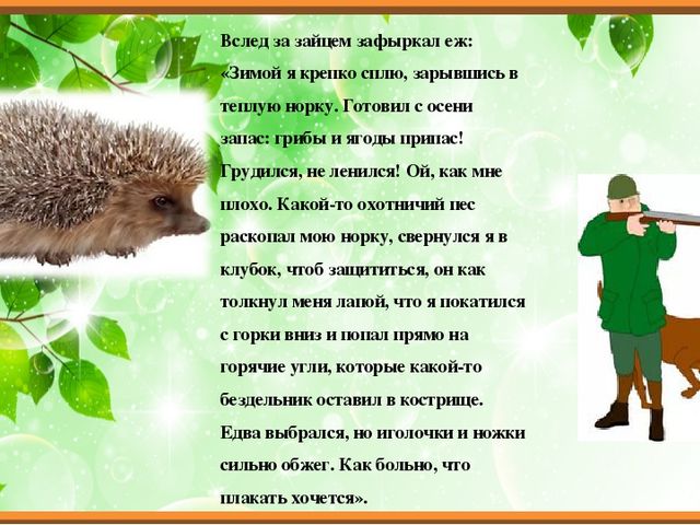 Презентация для ОД с дошкольниками "Экологическая сказка"