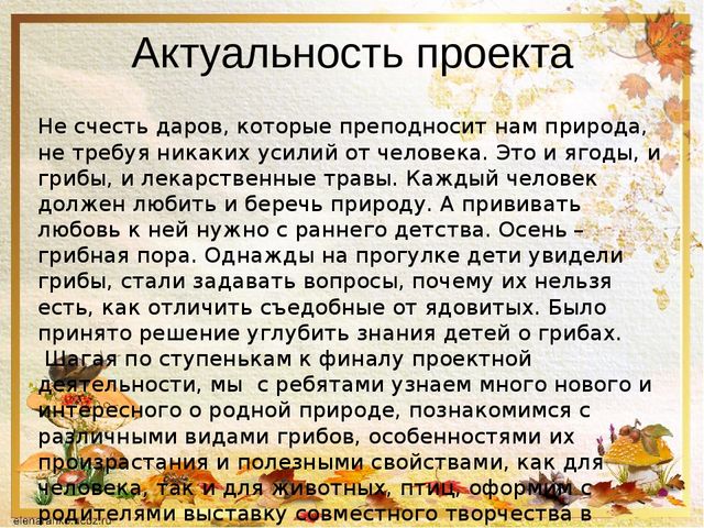 Презентация о том ,что такое грибы.