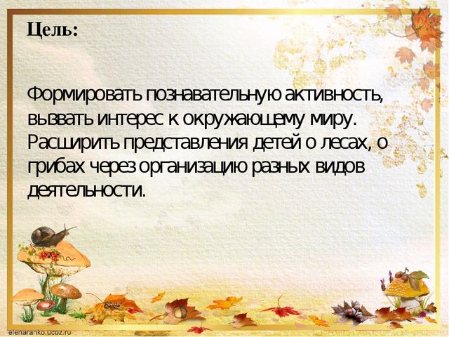 Презентация о том ,что такое грибы.