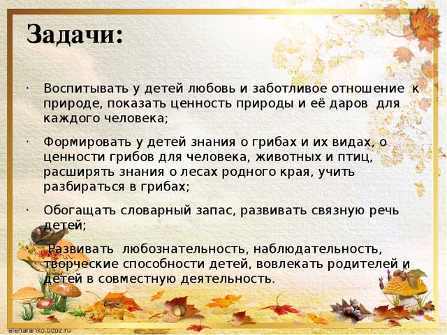 Презентация о том ,что такое грибы.