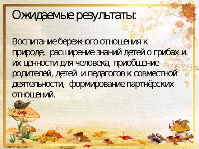 Презентация о том ,что такое грибы.