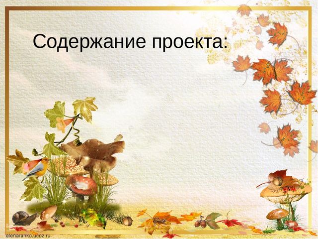 Презентация о том ,что такое грибы.