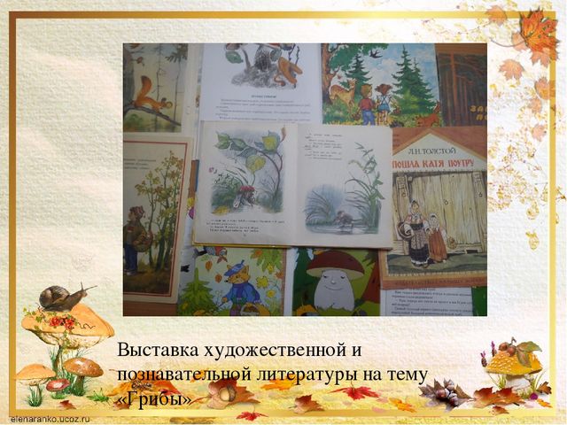 Презентация о том ,что такое грибы.